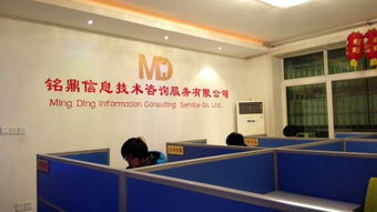 資陽銘鼎信息技術咨詢服務 助力企業發展的高效專業支持